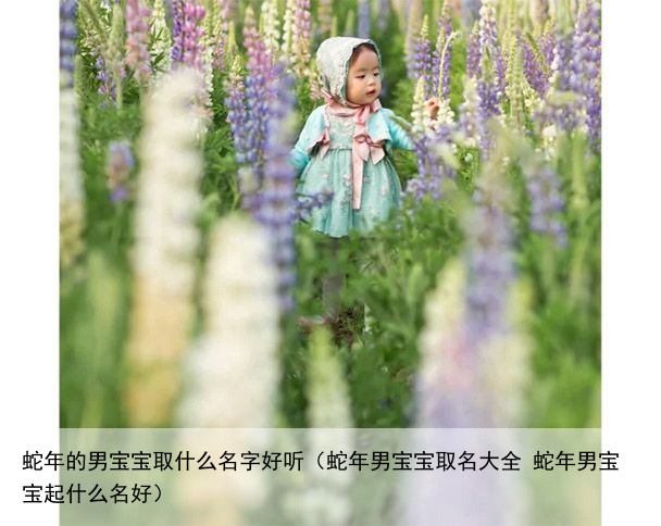 蛇年的男宝宝取什么名字好听（蛇年男宝宝取名大全 蛇年男宝宝起什么名好）