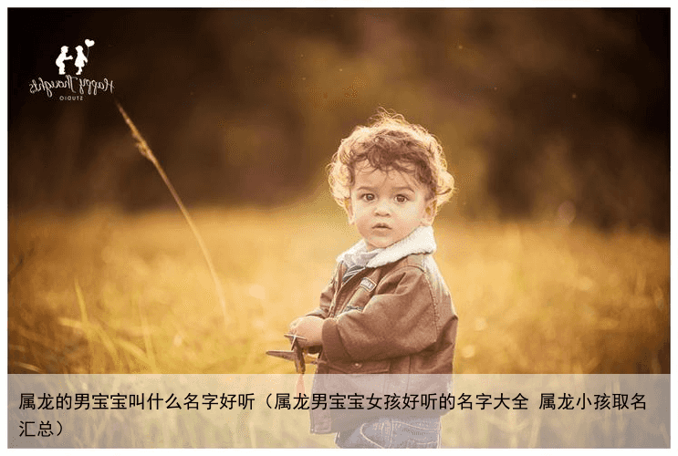 属龙的男宝宝叫什么名字好听（属龙男宝宝女孩好听的名字大全 属龙小孩取名汇总）