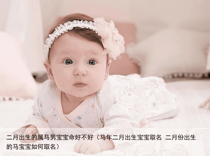 二月出生的属马男宝宝命好不好（马年二月出生宝宝取名 二月份出生的马宝宝如何取名）