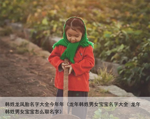 韩姓龙凤胎名字大全今年年（龙年韩姓男女宝宝名字大全 龙年韩姓男女宝宝怎么取名字）