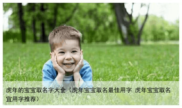虎年的宝宝取名字大全（虎年宝宝取名最佳用字 虎年宝宝取名宜用字推荐）