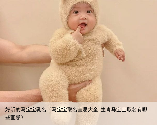 好听的马宝宝乳名（马宝宝取名宜忌大全 生肖马宝宝取名有哪些宜忌）