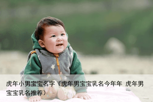 虎年小男宝宝名字（虎年男宝宝乳名今年年 虎年男宝宝乳名推荐）