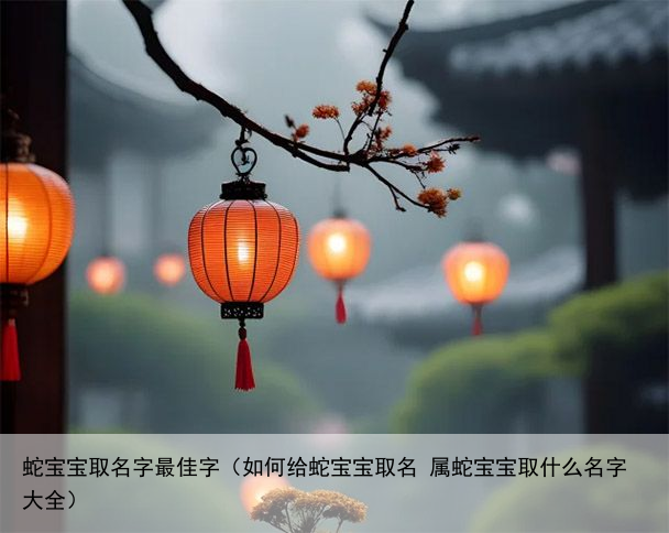 蛇宝宝取名字最佳字（如何给蛇宝宝取名 属蛇宝宝取什么名字大全）