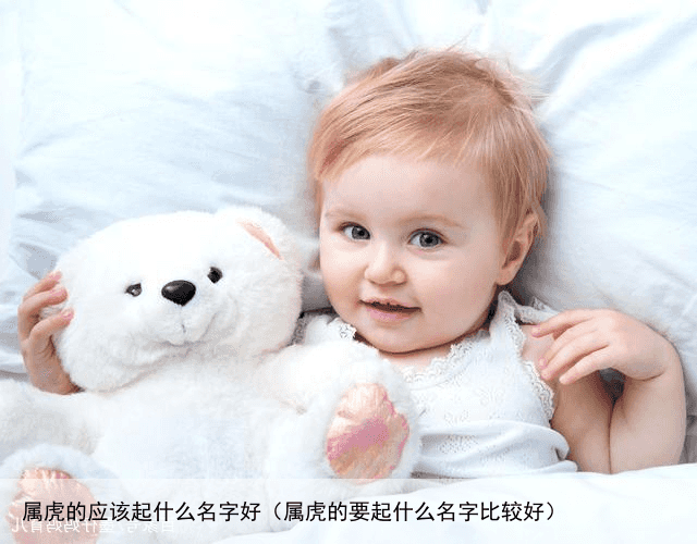 属虎的应该起什么名字好（属虎的要起什么名字比较好）