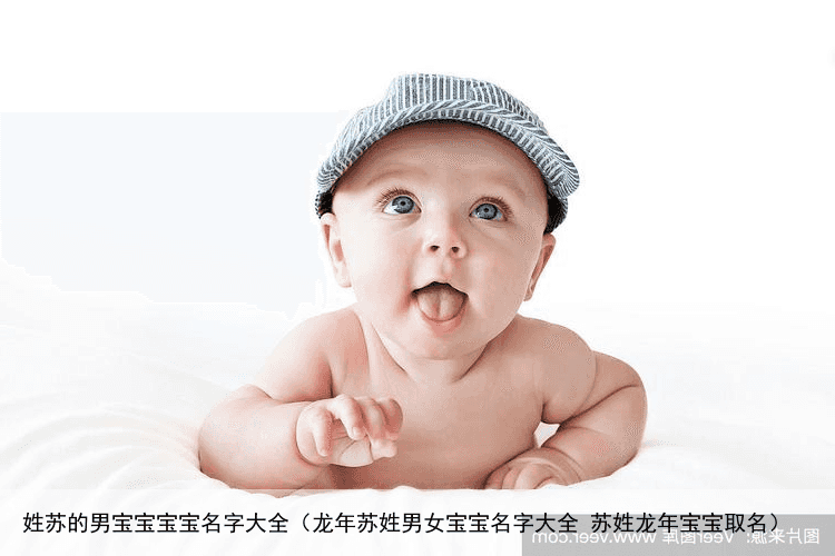姓苏的男宝宝宝宝名字大全（龙年苏姓男女宝宝名字大全 苏姓龙年宝宝取名）