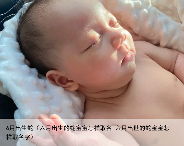6月出生蛇（六月出生的蛇宝宝怎样取名 六月出世的蛇宝宝怎样取名字）