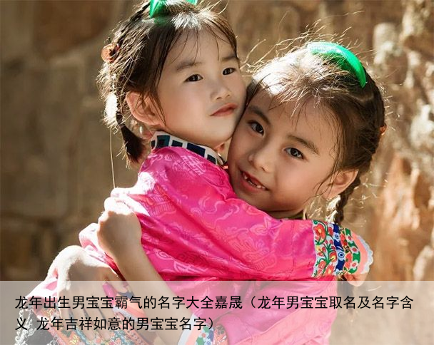 龙年出生男宝宝霸气的名字大全嘉晟（龙年男宝宝取名及名字含义 龙年吉祥如意的男宝宝名字）