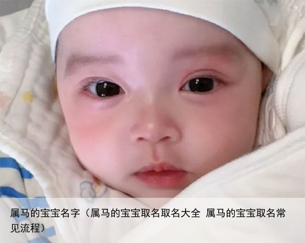 属马的宝宝名字（属马的宝宝取名取名大全 属马的宝宝取名常见流程）