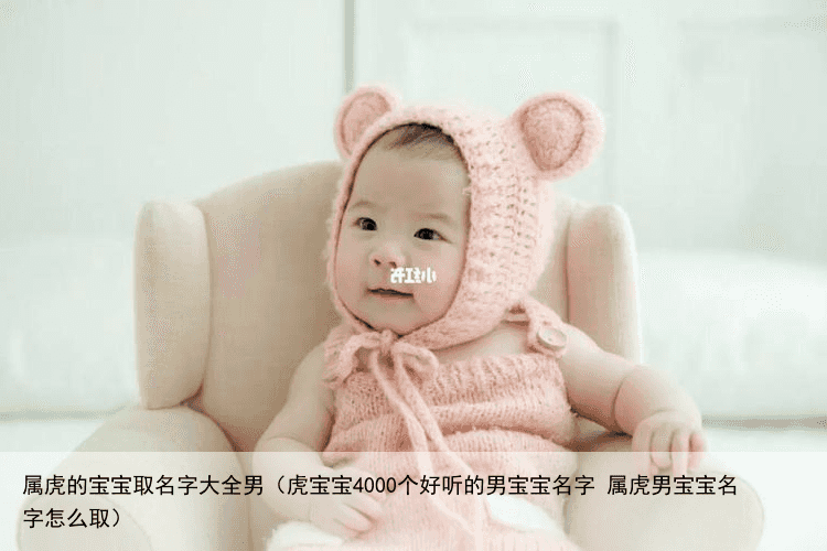 属虎的宝宝取名字大全男（虎宝宝4000个好听的男宝宝名字 属虎男宝宝名字怎么取）
