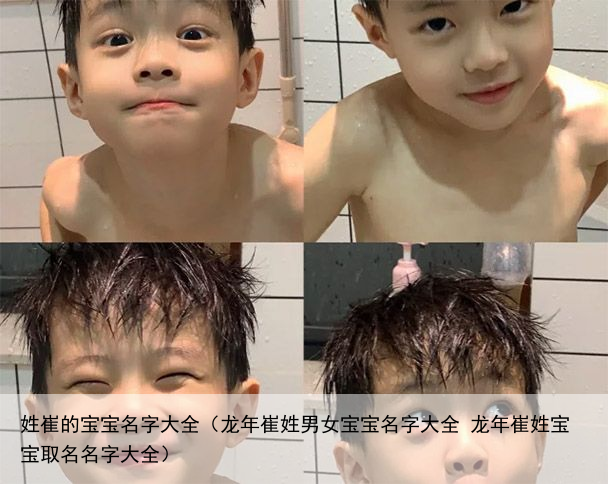 姓崔的宝宝名字大全（龙年崔姓男女宝宝名字大全 龙年崔姓宝宝取名名字大全）