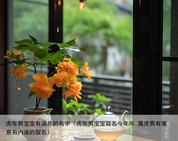 虎年男宝宝有涵养的名字（虎年男宝宝取名今年年 属虎男有寓意有内涵的取名）