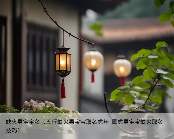 缺火男宝宝名（五行缺火男宝宝取名虎年 属虎男宝宝缺火取名技巧）