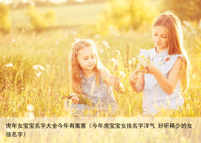 虎年女宝宝名字大全今年有寓意（今年虎宝宝女孩名字洋气 好听稀少的女孩名字）
