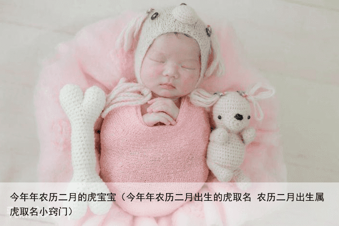 今年年农历二月的虎宝宝（今年年农历二月出生的虎取名 农历二月出生属虎取名小窍门）