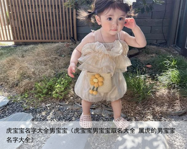 虎宝宝名字大全男宝宝（虎宝宝男宝宝取名大全 属虎的男宝宝名字大全）