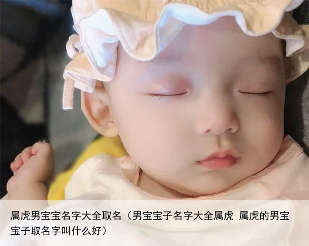 属虎男宝宝名字大全取名（男宝宝子名字大全属虎 属虎的男宝宝子取名字叫什么好）