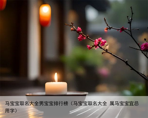 马宝宝取名大全男宝宝排行榜（马宝宝取名大全 属马宝宝宜忌用字）