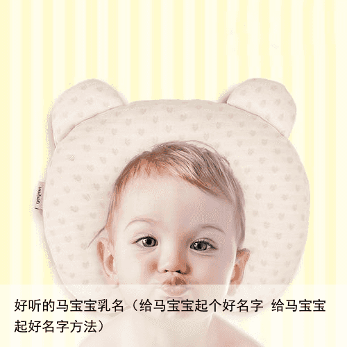 好听的马宝宝乳名（给马宝宝起个好名字 给马宝宝起好名字方法）