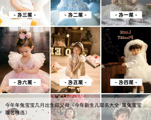 今年年兔宝宝几月出生旺父母（今年新生儿取名大全 属兔宝宝取名精选）