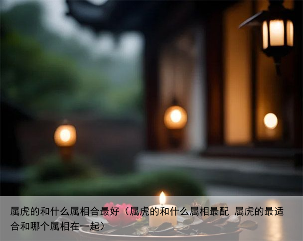 属虎的和什么属相合最好（属虎的和什么属相最配 属虎的最适合和哪个属相在一起）