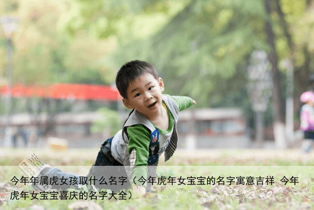 今年年属虎女孩取什么名字（今年虎年女宝宝的名字寓意吉祥 今年虎年女宝宝喜庆的名字大全）
