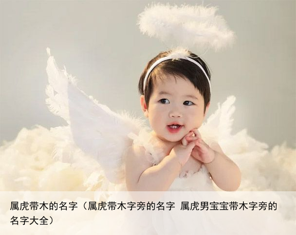 属虎带木的名字（属虎带木字旁的名字 属虎男宝宝带木字旁的名字大全）