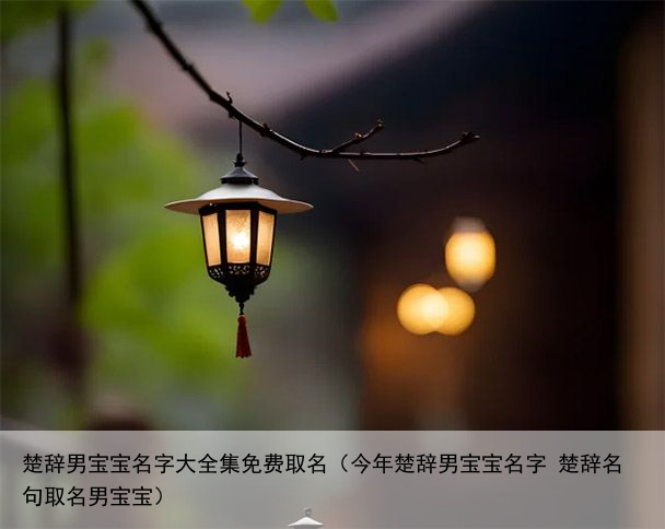 楚辞男宝宝名字大全集免费取名（今年楚辞男宝宝名字 楚辞名句取名男宝宝）