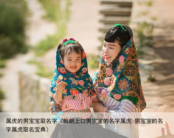 属虎的男宝宝取名字（朗朗上口男宝宝的名字属虎 男宝宝的名字属虎取名宝典）