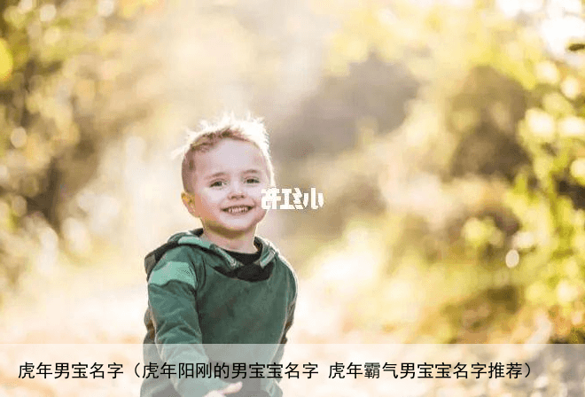 虎年男宝名字（虎年阳刚的男宝宝名字 虎年霸气男宝宝名字推荐）