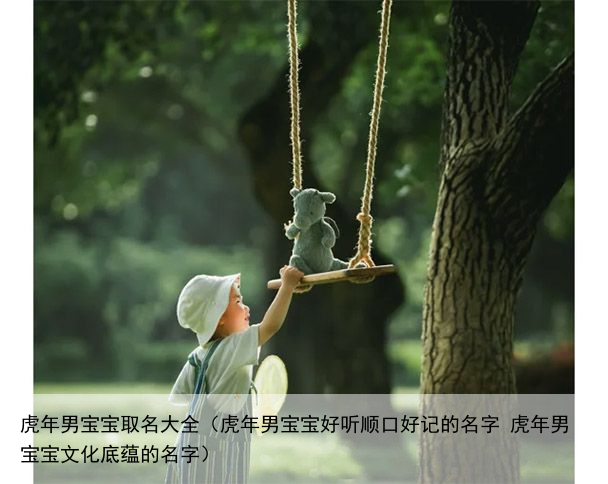 虎年男宝宝取名大全（虎年男宝宝好听顺口好记的名字 虎年男宝宝文化底蕴的名字）