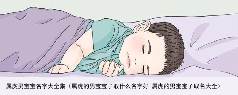 属虎男宝宝名字大全集（属虎的男宝宝子取什么名字好 属虎的男宝宝子取名大全）