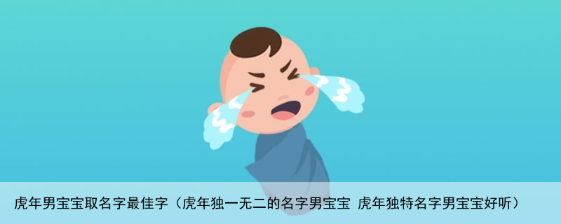 虎年男宝宝取名字最佳字（虎年独一无二的名字男宝宝 虎年独特名字男宝宝好听）