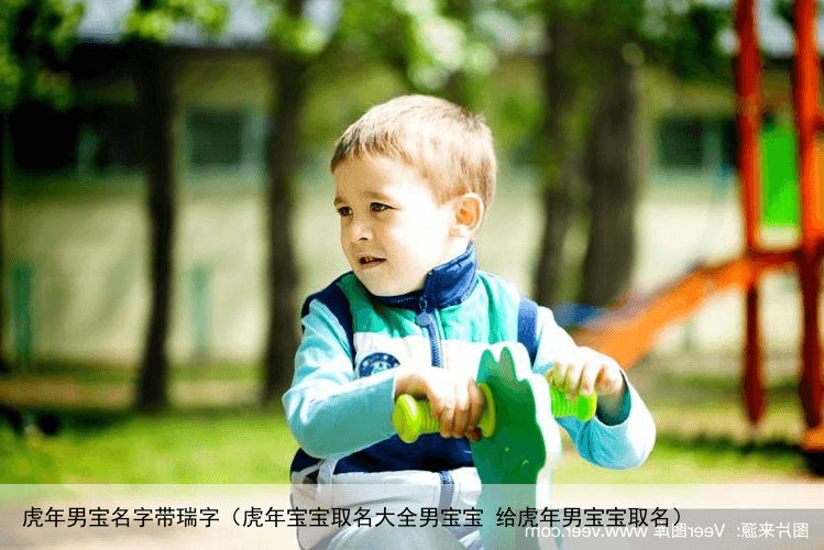 虎年男宝名字带瑞字（虎年宝宝取名大全男宝宝 给虎年男宝宝取名）