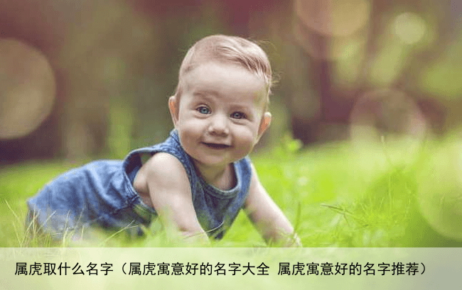 属虎取什么名字（属虎寓意好的名字大全 属虎寓意好的名字推荐）