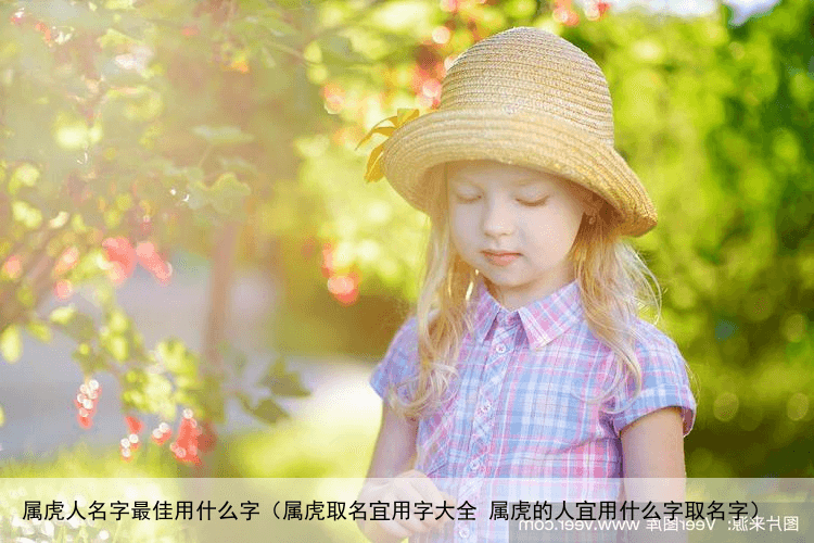 属虎人名字最佳用什么字（属虎取名宜用字大全 属虎的人宜用什么字取名字）