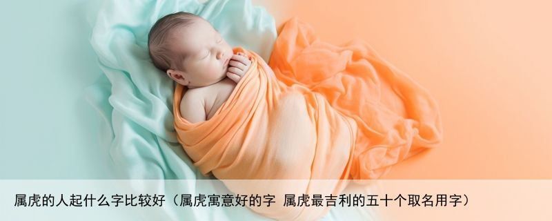 属虎的人起什么字比较好（属虎寓意好的字 属虎最吉利的五十个取名用字）