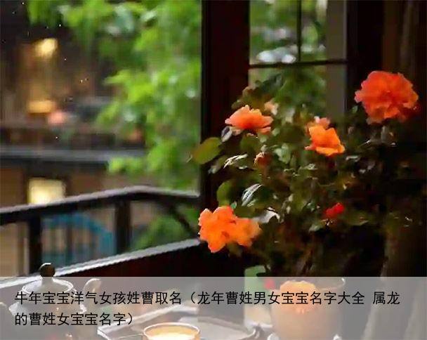 牛年宝宝洋气女孩姓曹取名（龙年曹姓男女宝宝名字大全 属龙的曹姓女宝宝名字）