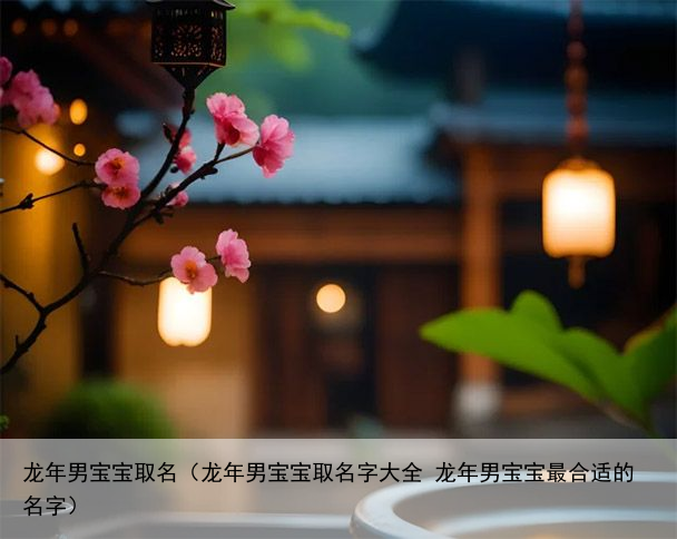 龙年男宝宝取名（龙年男宝宝取名字大全 龙年男宝宝最合适的名字）