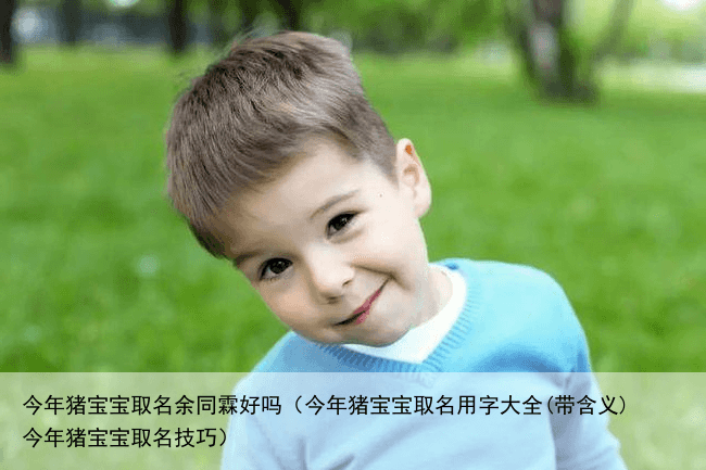 今年猪宝宝取名余同霖好吗（今年猪宝宝取名用字大全(带含义) 今年猪宝宝取名技巧）