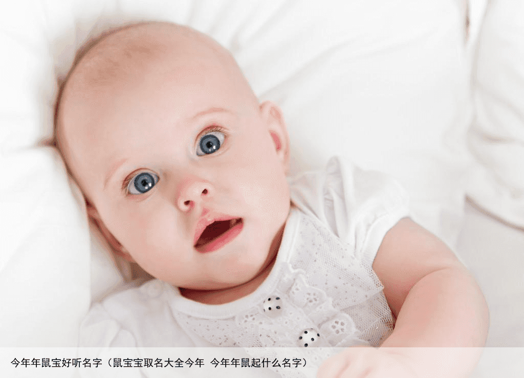 今年年鼠宝好听名字（鼠宝宝取名大全今年 今年年鼠起什么名字）