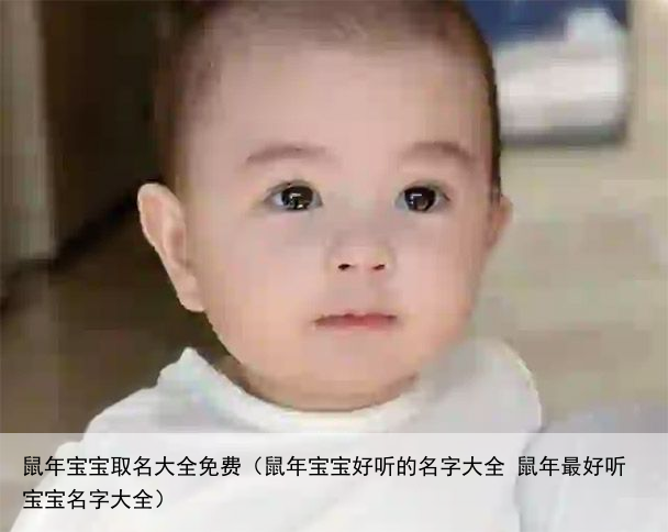 鼠年宝宝取名大全免费（鼠年宝宝好听的名字大全 鼠年最好听宝宝名字大全）