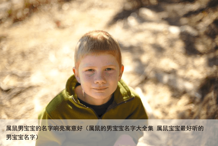 属鼠男宝宝的名字响亮寓意好（属鼠的男宝宝名字大全集 属鼠宝宝最好听的男宝宝名字）