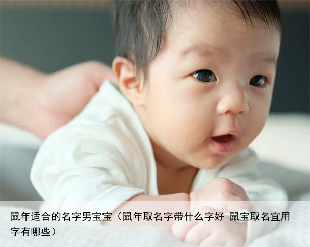 鼠年适合的名字男宝宝（鼠年取名字带什么字好 鼠宝取名宜用字有哪些）