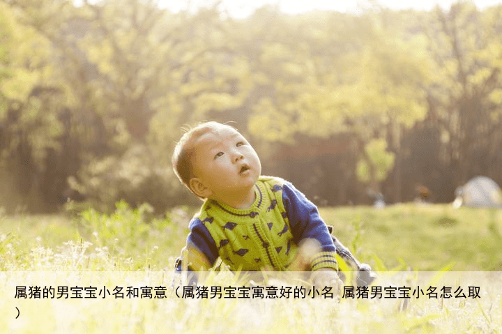 属猪的男宝宝小名和寓意（属猪男宝宝寓意好的小名 属猪男宝宝小名怎么取）