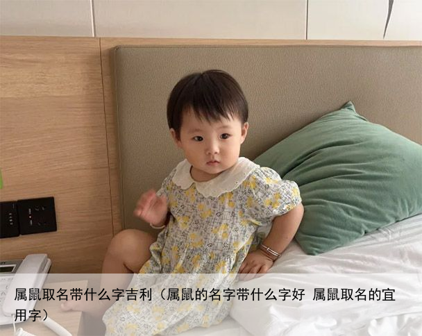 属鼠取名带什么字吉利（属鼠的名字带什么字好 属鼠取名的宜用字）