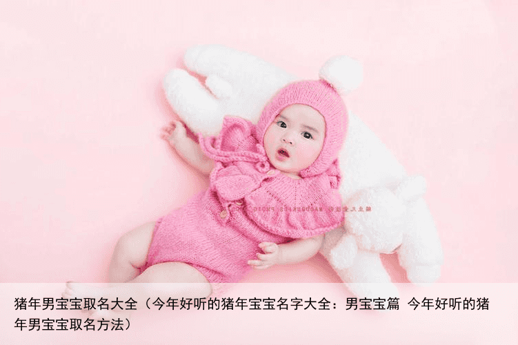 猪年男宝宝取名大全（今年好听的猪年宝宝名字大全：男宝宝篇 今年好听的猪年男宝宝取名方法）