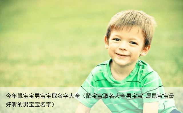 今年鼠宝宝男宝宝取名字大全（鼠宝宝取名大全男宝宝 属鼠宝宝最好听的男宝宝名字）