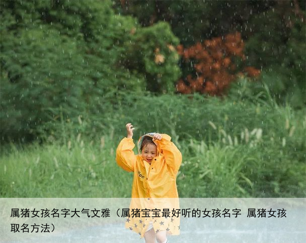 属猪女孩名字大气文雅（属猪宝宝最好听的女孩名字 属猪女孩取名方法）