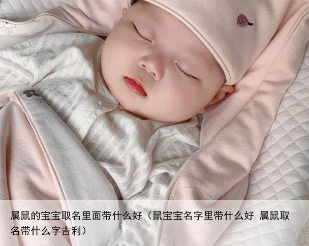 属鼠的宝宝取名里面带什么好（鼠宝宝名字里带什么好 属鼠取名带什么字吉利）